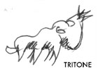 Tritone